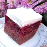 Kocke sa višnjama i rumom