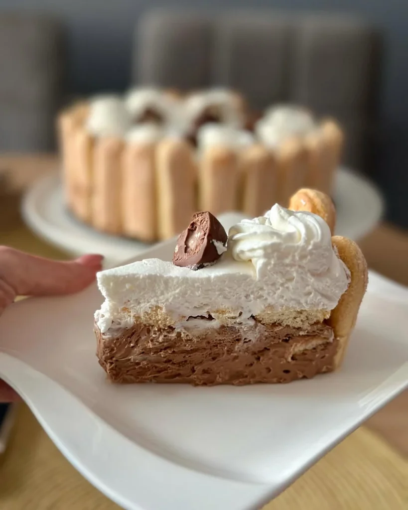 recept za čokoladni šarlot
