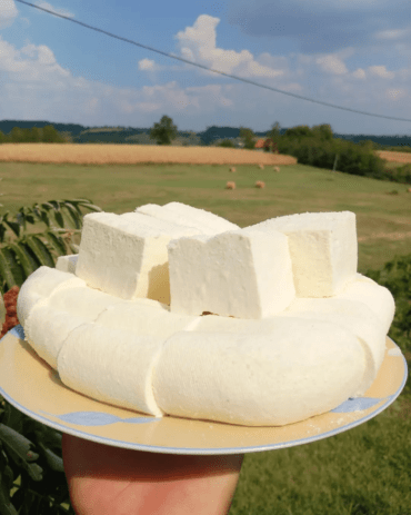 recept za domaći sir
