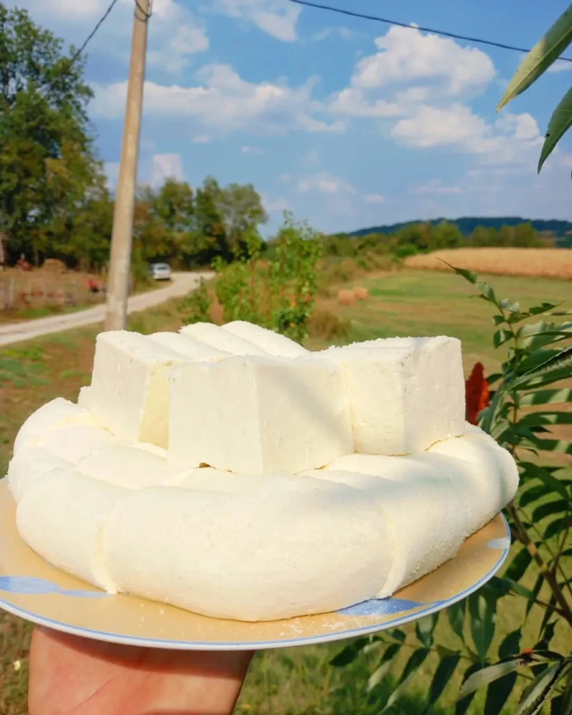 recept za domaći sir