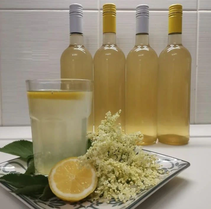 domaći sirup od zove