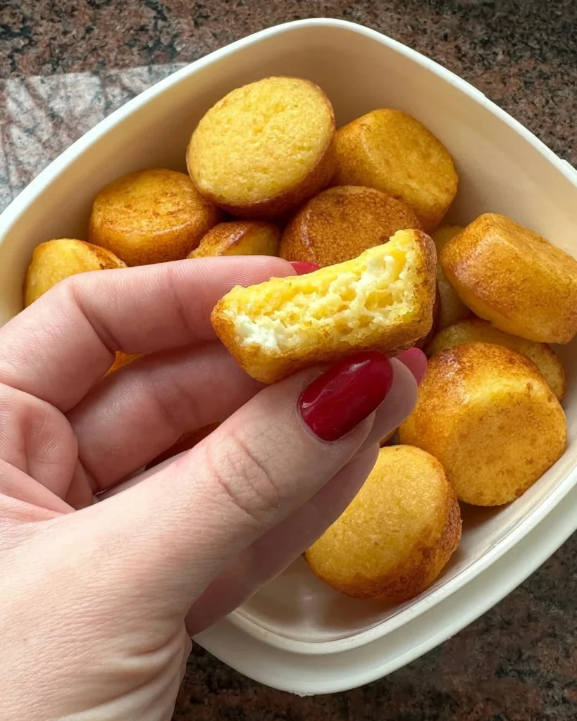 mini proja