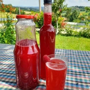 recept za domaći sirup od malina