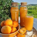 domaći sok od kajsija
