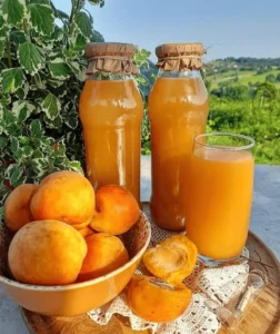 domaći sok od kajsija